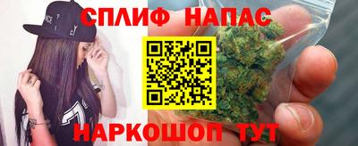 ПСИЛОЦИБИНОВЫЕ ГРИБЫ Гатчина