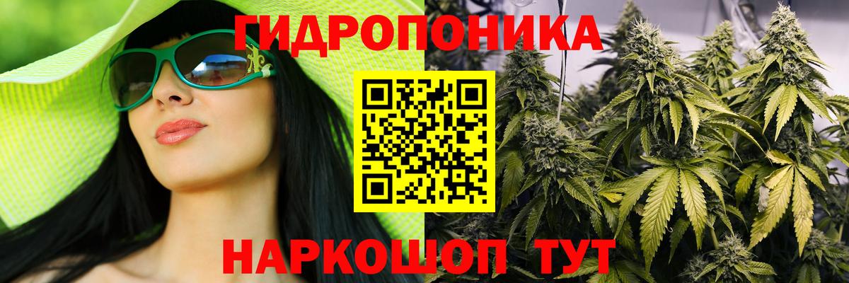 Конопля VHQ  Вход с VPN  Канабис план  Кызыл  Бошки Шишки гибрид  Каннабис VHQ 